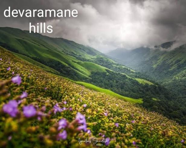 Halase Homestay Mudigere Екстериор снимка